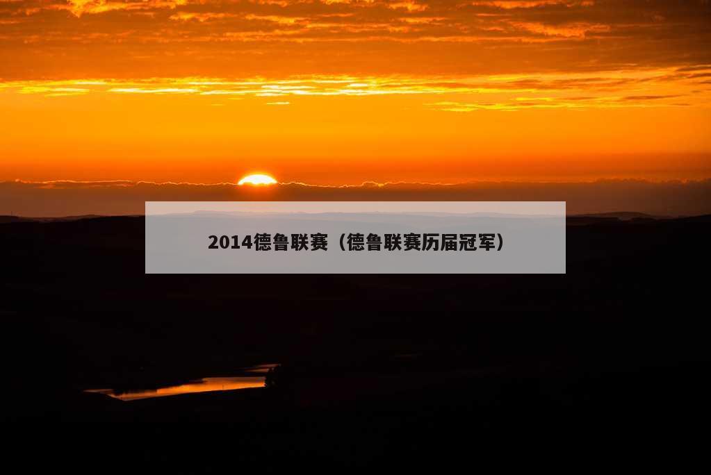 2014德鲁联赛（德鲁联赛历届冠军）