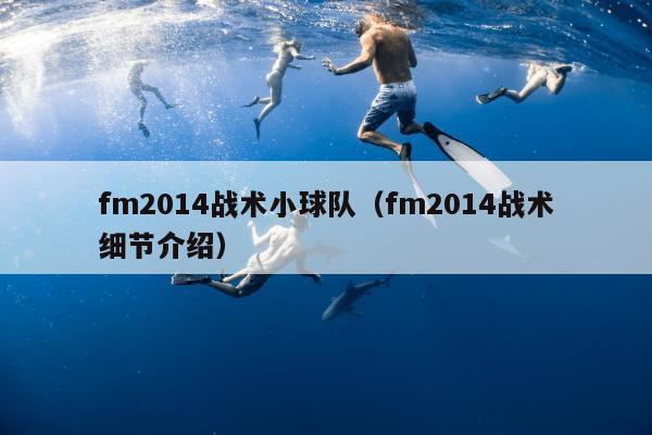 fm2014战术小球队（fm2014战术细节介绍）