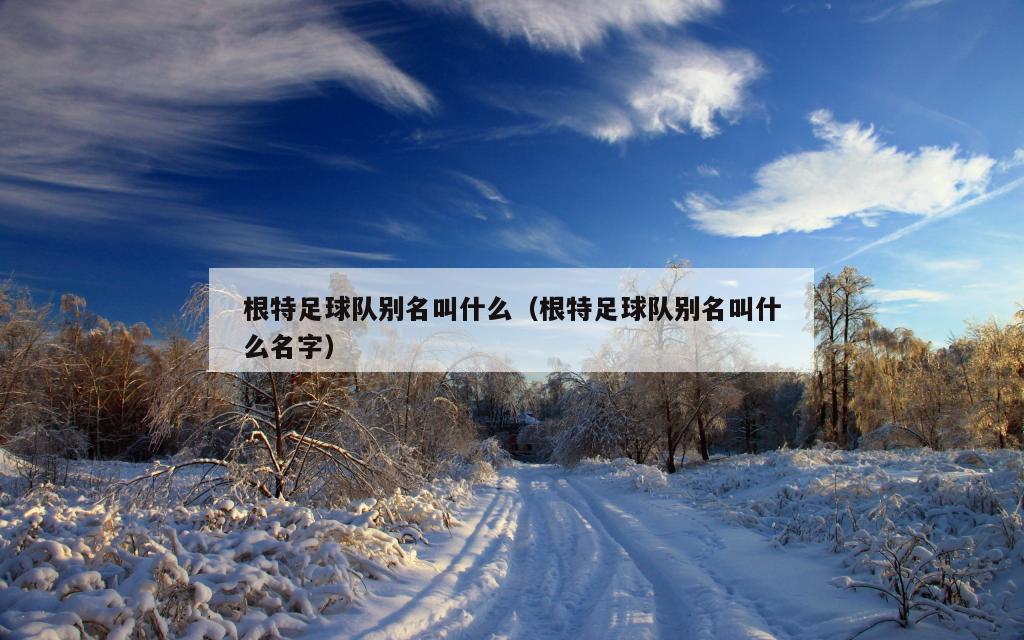 根特足球队别名叫什么（根特足球队别名叫什么名字）