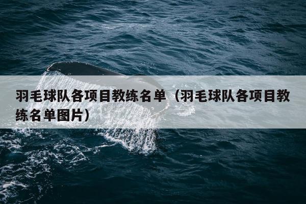 羽毛球队各项目教练名单（羽毛球队各项目教练名单图片）