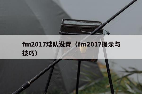 fm2017球队设置（fm2017提示与技巧）