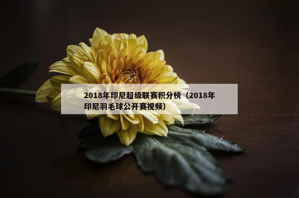 2018年印尼超级联赛积分榜（2018年印尼羽毛球公开赛视频）