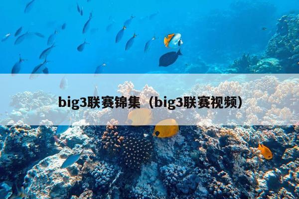 big3联赛锦集（big3联赛视频）