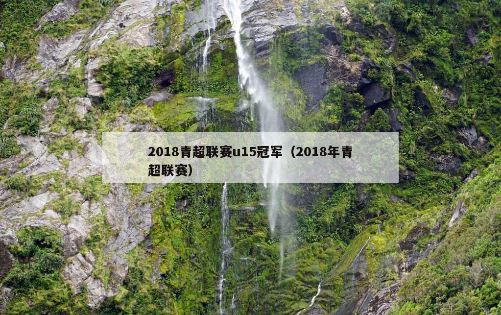 2018青超联赛u15冠军（2018年青超联赛）