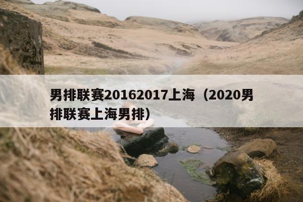 男排联赛20162017上海（2020男排联赛上海男排）