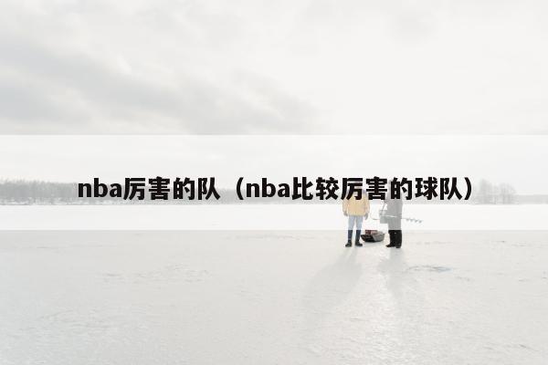 nba厉害的队（nba比较厉害的球队）