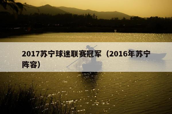 2017苏宁球迷联赛冠军（2016年苏宁阵容）