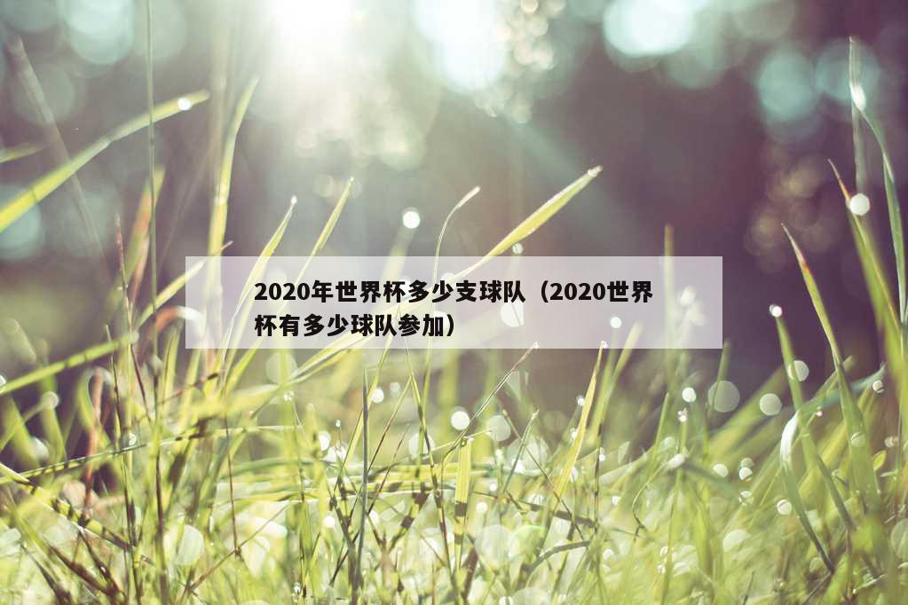 2020年世界杯多少支球队（2020世界杯有多少球队参加）