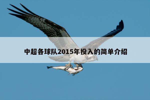 中超各球队2015年投入的简单介绍