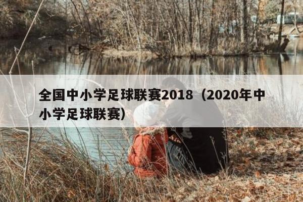 全国中小学足球联赛2018（2020年中小学足球联赛）