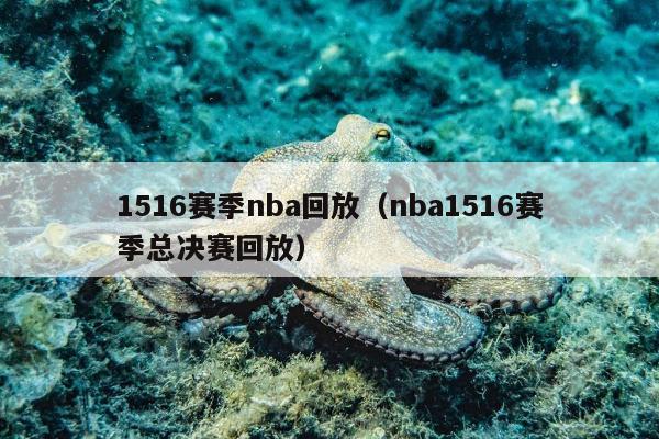 1516赛季nba回放（nba1516赛季总决赛回放）