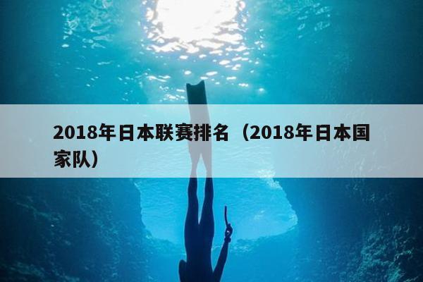 2018年日本联赛排名（2018年日本国家队）