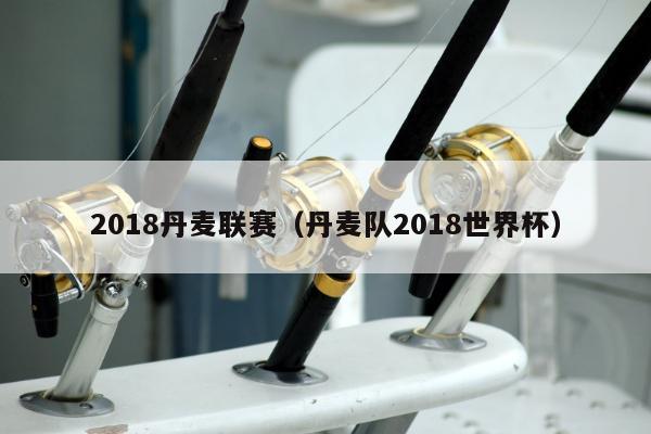 2018丹麦联赛（丹麦队2018世界杯）