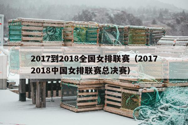 2017到2018全国女排联赛（20172018中国女排联赛总决赛）