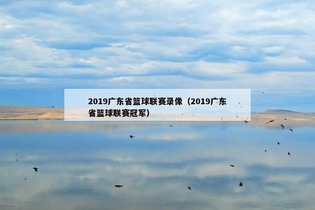 2019广东省篮球联赛录像（2019广东省篮球联赛冠军）