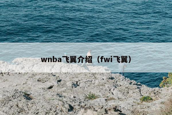 wnba飞翼介绍（fwi飞翼）