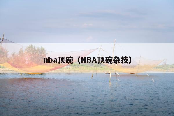 nba顶碗（NBA顶碗杂技）