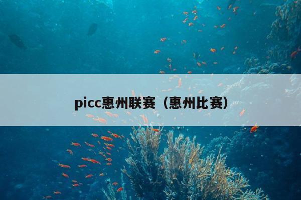 picc惠州联赛（惠州比赛）