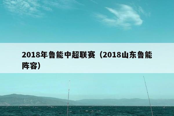 2018年鲁能中超联赛（2018山东鲁能阵容）