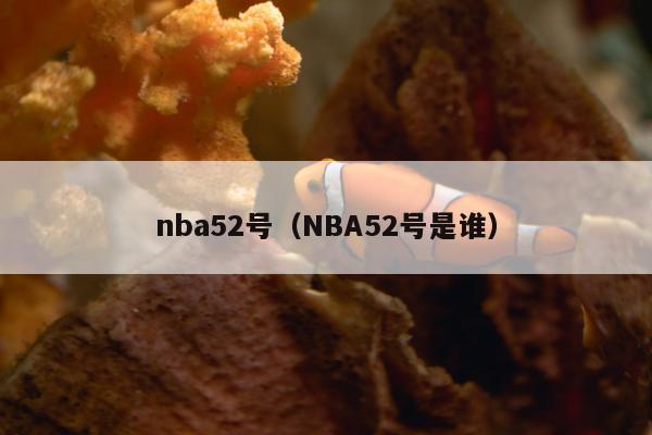 nba52号（NBA52号是谁）