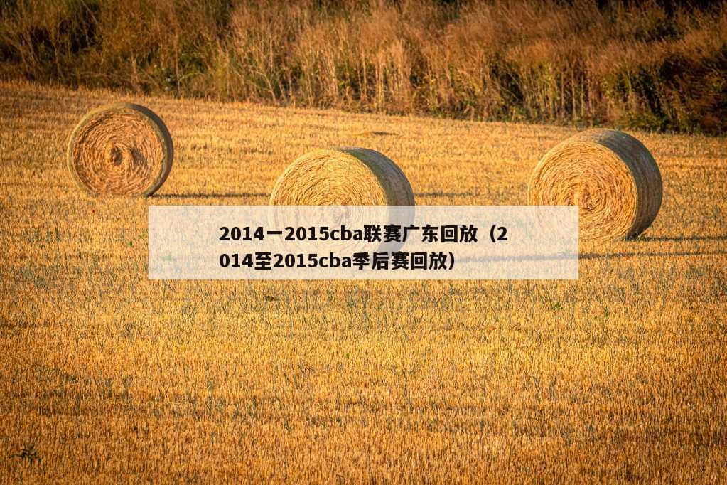 2014一2015cba联赛广东回放（2014至2015cba季后赛回放）