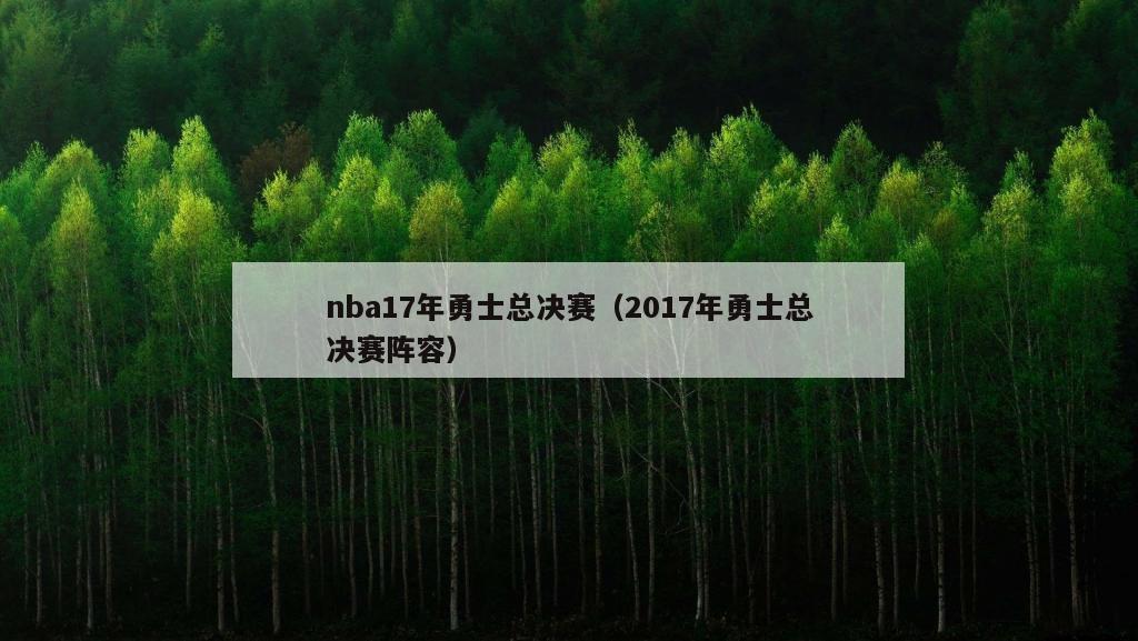 nba17年勇士总决赛（2017年勇士总决赛阵容）