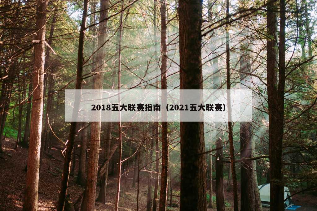 2018五大联赛指南（2021五大联赛）