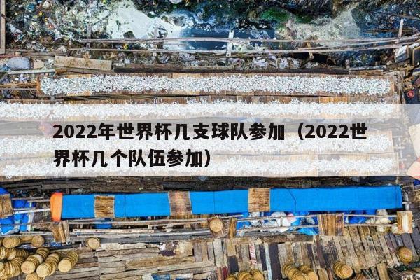 2022年世界杯几支球队参加（2022世界杯几个队伍参加）