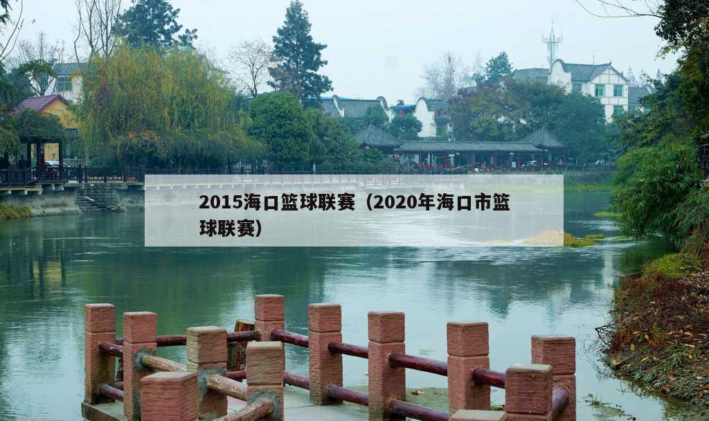 2015海口篮球联赛（2020年海口市篮球联赛）