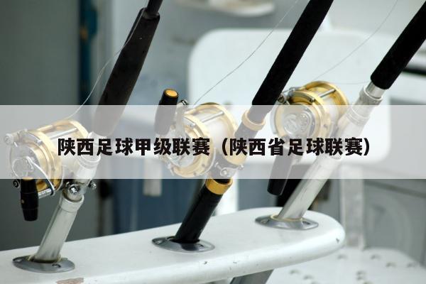 陕西足球甲级联赛（陕西省足球联赛）