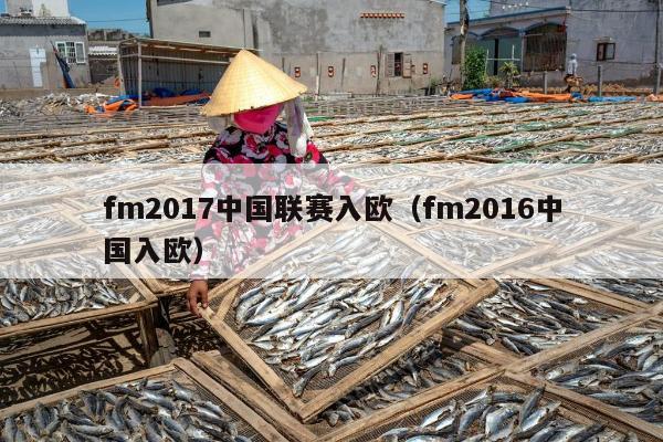 fm2017中国联赛入欧（fm2016中国入欧）