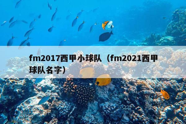 fm2017西甲小球队（fm2021西甲球队名字）