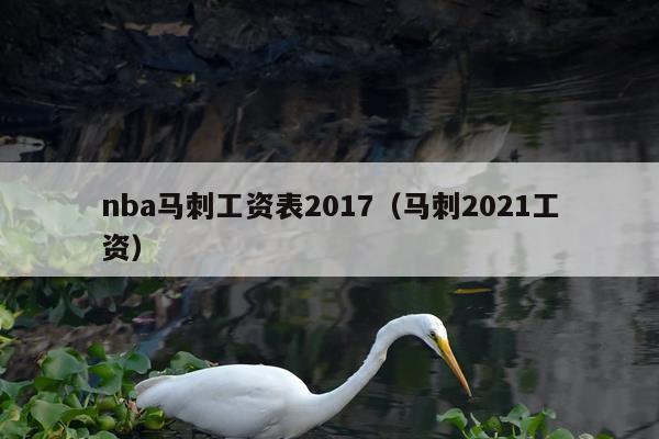 nba马刺工资表2017（马刺2021工资）