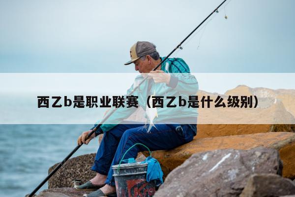 西乙b是职业联赛（西乙b是什么级别）