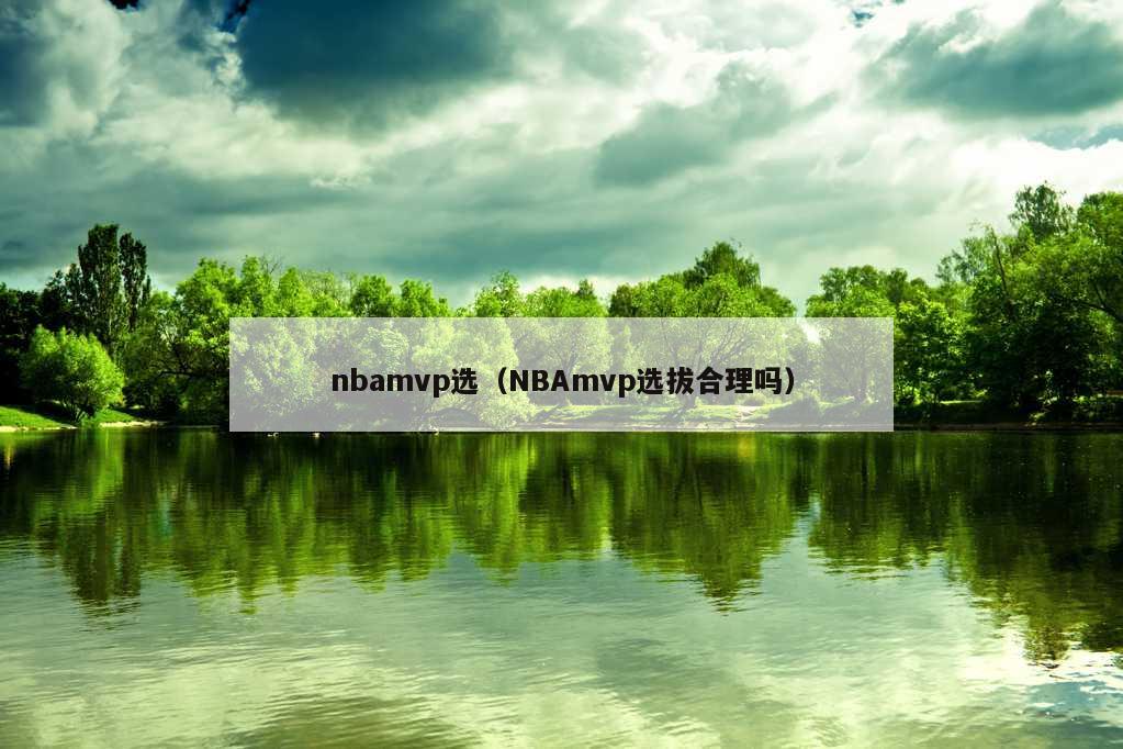 nbamvp选（NBAmvp选拔合理吗）