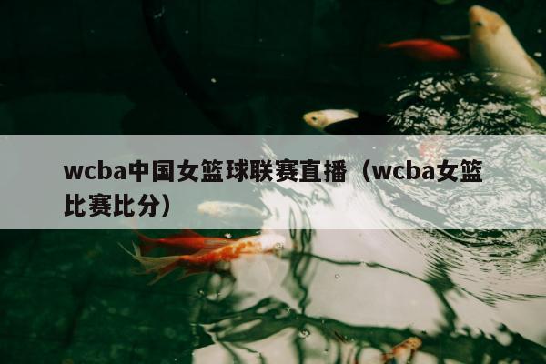 wcba中国女篮球联赛直播（wcba女篮比赛比分）