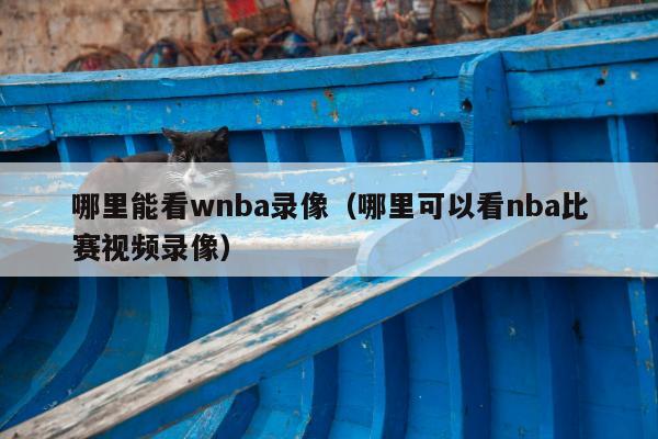 哪里能看wnba录像（哪里可以看nba比赛视频录像）