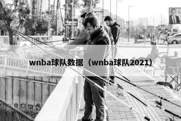 wnba球队数据（wnba球队2021）