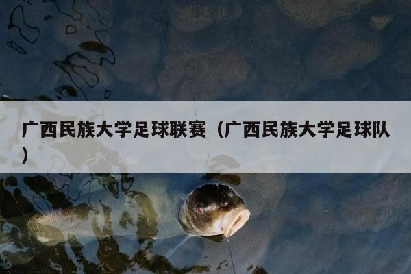 广西民族大学足球联赛（广西民族大学足球队）