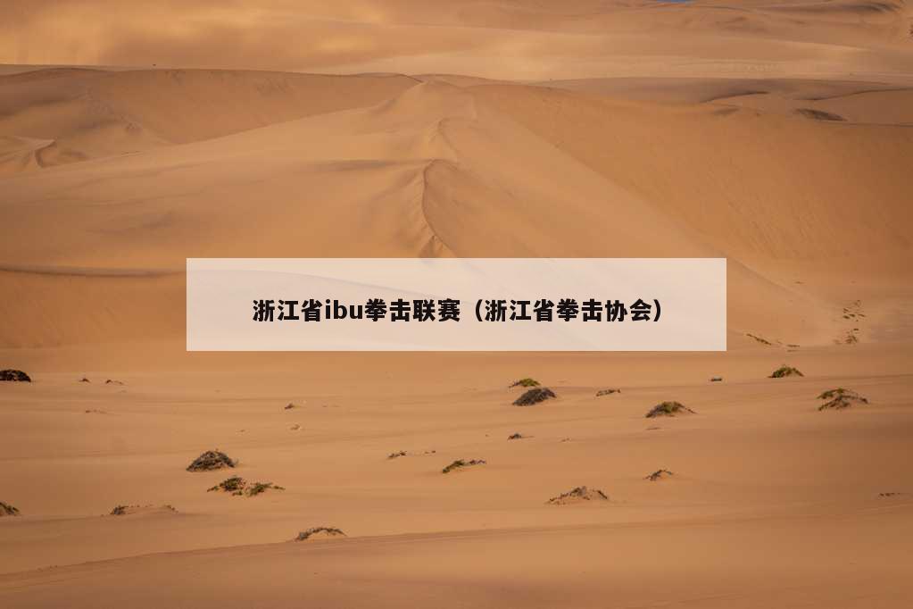 浙江省ibu拳击联赛（浙江省拳击协会）