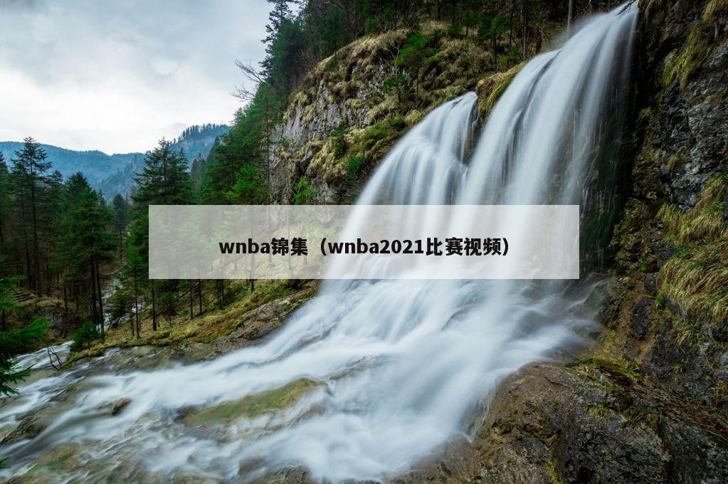 wnba锦集（wnba2021比赛视频）