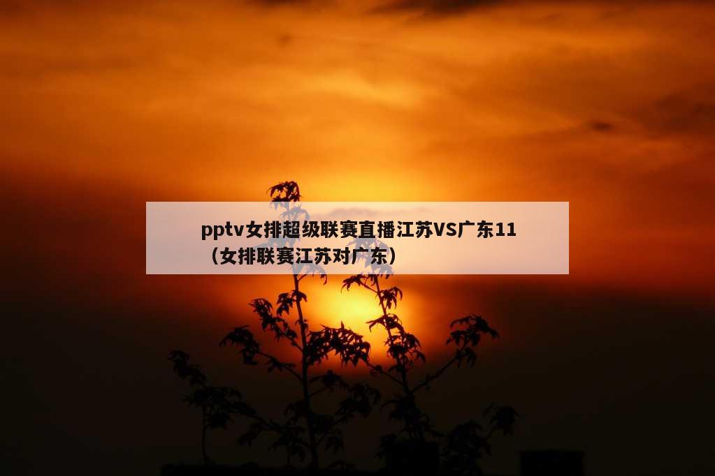 pptv女排超级联赛直播江苏VS广东11（女排联赛江苏对广东）
