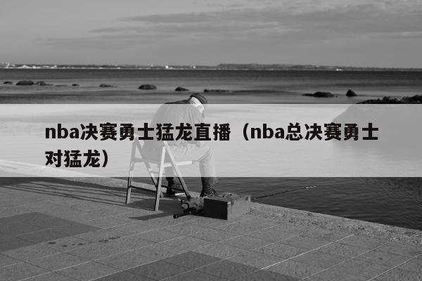 nba决赛勇士猛龙直播（nba总决赛勇士对猛龙）