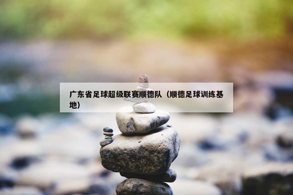 广东省足球超级联赛顺德队（顺德足球训练基地）