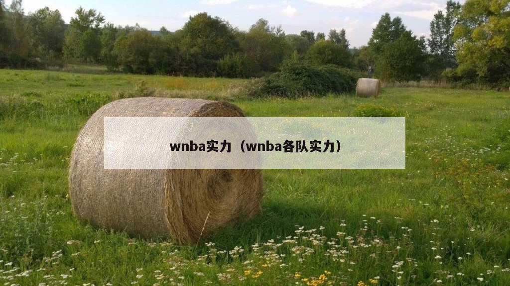 wnba实力（wnba各队实力）