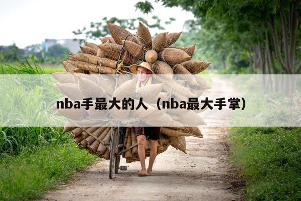 nba手最大的人（nba最大手掌）