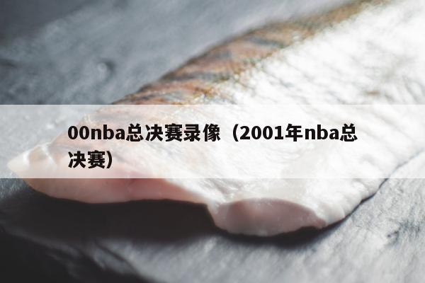 00nba总决赛录像（2001年nba总决赛）