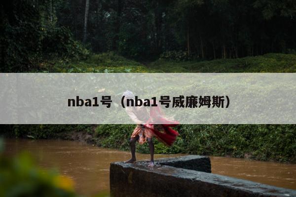 nba1号（nba1号威廉姆斯）