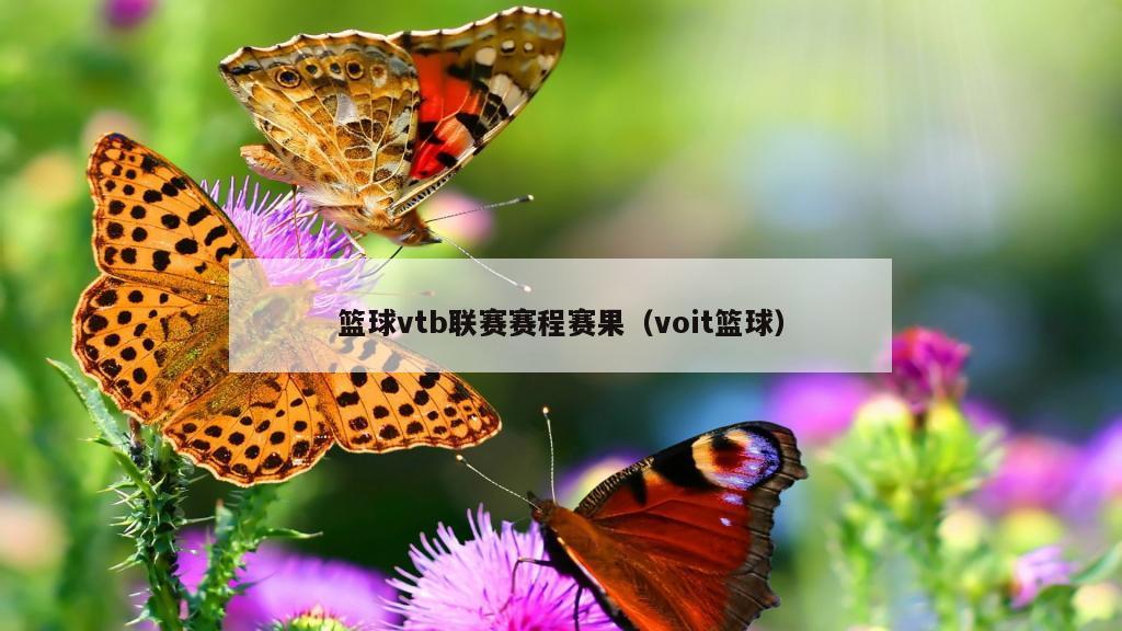 篮球vtb联赛赛程赛果（voit篮球）