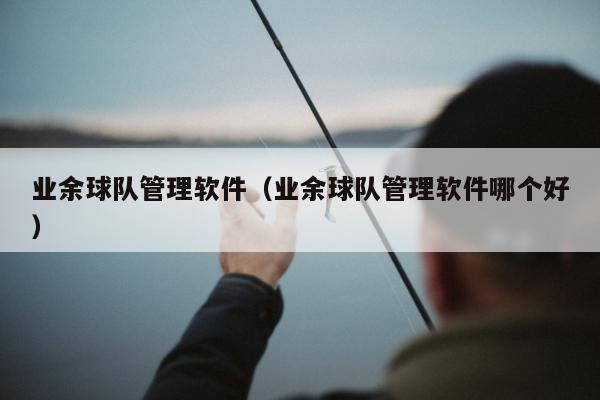 业余球队管理软件（业余球队管理软件哪个好）